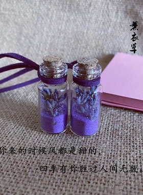 薰衣草毕业创意许愿挂件生日礼物