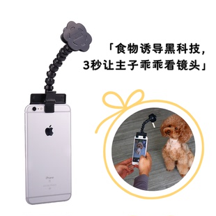 宠物自拍杆 食物引诱 猫咪拍照神器 狗狗看镜头玩具