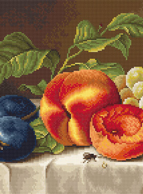 Luca-S B592 静物水果 十字绣 saga格式XSD重绘源文件电子图纸