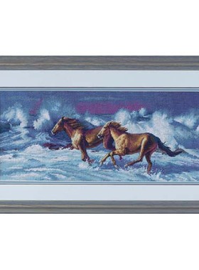 Dim35142 踏浪马 十字绣 saga格式XSD重绘源文件电子图纸