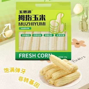 玉思源非转基因拇指玉米家庭装 638g儿童糯玉米健康食品无添加剂