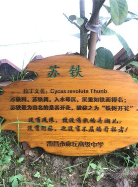 实木质铭牌防水标牌介绍树木牌装饰挂牌木质菜地植物果树景观标识