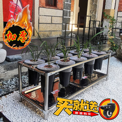 兰花架艾艾淘友不锈钢现代简约