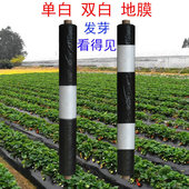 农用多功能黑白地膜单白双白色除草地膜保温保湿 蔬菜大棚种植微膜