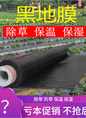 果园防草保温保湿加厚黑地膜