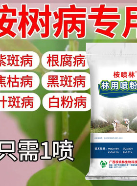 桉喷林特牛桉树焦枯病特效药