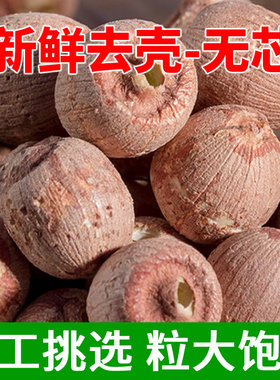 花之莲去芯红莲子新货大粒500g无芯红皮莲子特产无硫湘潭莲子干货