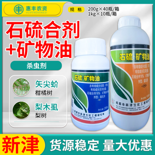 成都新津 大中石硫合剂矿物油梨树柑橘 梨木虱矢尖蚧杀虫剂