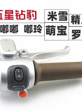 适用于五星钻豹电动车米雪罗萌宝嘟嘟铃精灵左右组合开关刹车上泵
