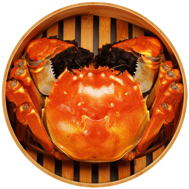 【去绳裸重】6只大闸蟹鲜活特大螃蟹全母蟹4.5-4.8两阳澄湖镇礼盒在类目 水产肉类/新鲜蔬果/熟食, 海鲜/水产品/制品, 蟹类, 大闸蟹中 - 来自Buy2taobao.com提供专业的淘宝代购服务