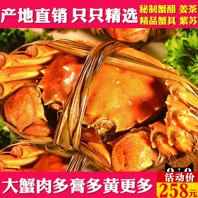 【去绳裸重】10只大闸蟹鲜活特大全母2.5两阳澄湖镇净重螃蟹礼盒在类目 水产肉类/新鲜蔬果/熟食, 海鲜/水产品/制品, 蟹类, 大闸蟹中 - 来自Buy2taobao.com提供专业的淘宝代购服务