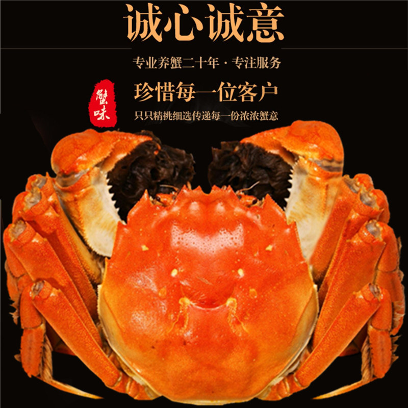 【活蟹】精品足两特大螃蟹公4.0两+母3.0两大闸蟹鲜活6只8只10只,水产肉类/新鲜蔬果/熟食,大闸蟹,淘宝优惠券,粉丝福利购,淘宝优惠卷