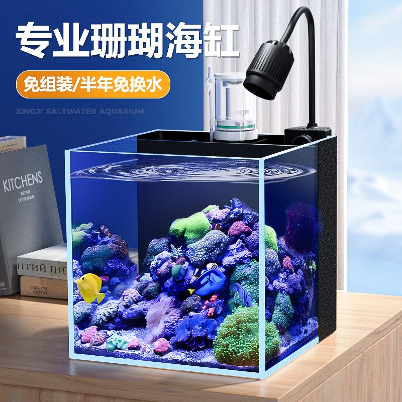 鱼缸背滤超白玻璃海水缸新手中小珊瑚缸小型桌面办公室