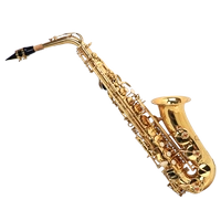 Nhạc cụ Saxophone người lớn mới bắt đầu nhập học tự học cấp độ chơi chuyên nghiệp alto E-sax với - Nhạc cụ phương Tây kèn saxofon