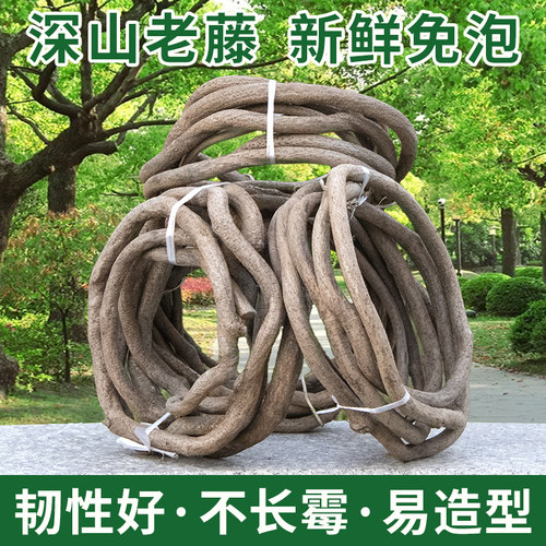 藤蔓缠绕造景干树枝仿真植物
