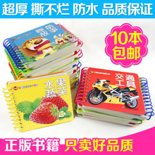 可自选婴幼儿童撕不烂早教故事书宝宝启蒙认知识字卡图册0 3岁