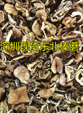 东北野生榛蘑 蘑菇 去根榛蘑 小鸡炖蘑菇 蘑菇香菇类 榛蘑菇250g