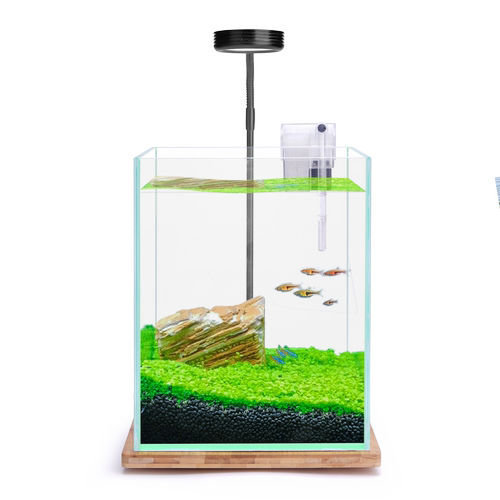 桌面水景缸水族箱小型水族箱造景小型水草缸全套DIY小水草鱼缸