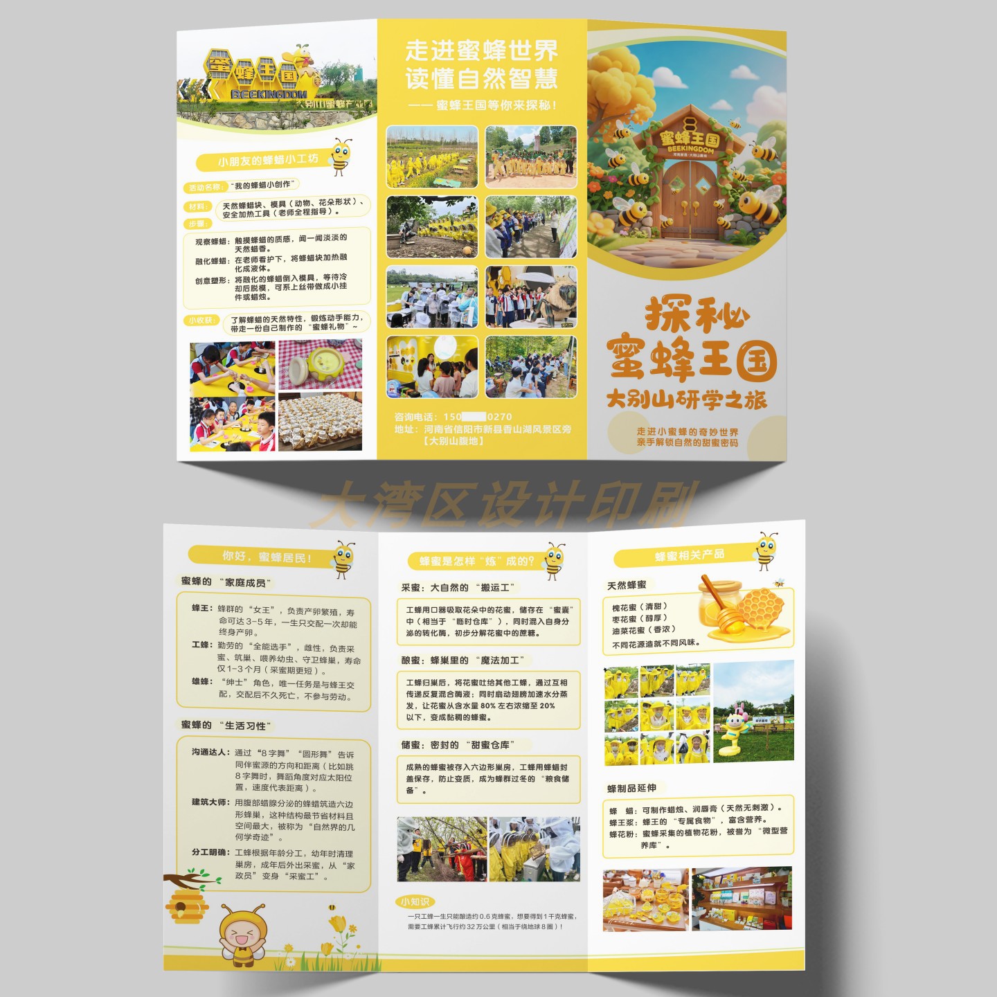 蜜蜂王国大别山研学之旅知识宣传手册定制亲子活动儿童旅行三折页