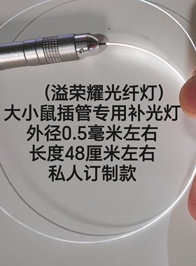 溢荣耀光纤照明灯 科研实验辅助光源 外径长度可定制 极细冷光源