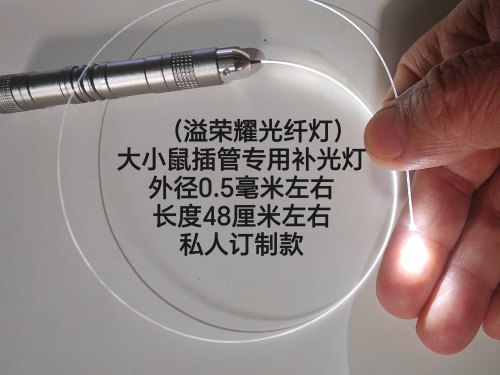 新款，大小鼠插管专用照明灯 外径长度定制备注 （溢荣耀光纤灯）