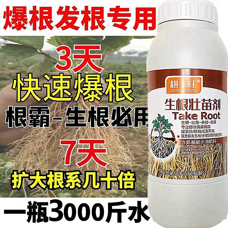 生根壮苗剂生根粉生根液移栽扦插果树花卉绿萝根 强力发根剂