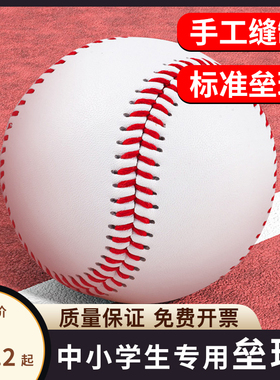 垒球小学生专用10寸软式硬式棒球中考标准运动会训练球投掷比赛球