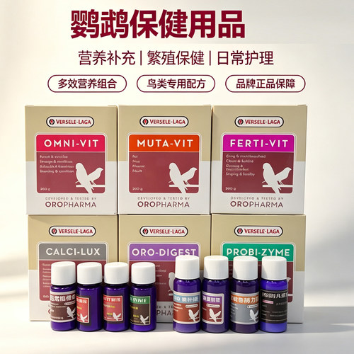 比利时凡赛尔日常换羽散装鹦鹉