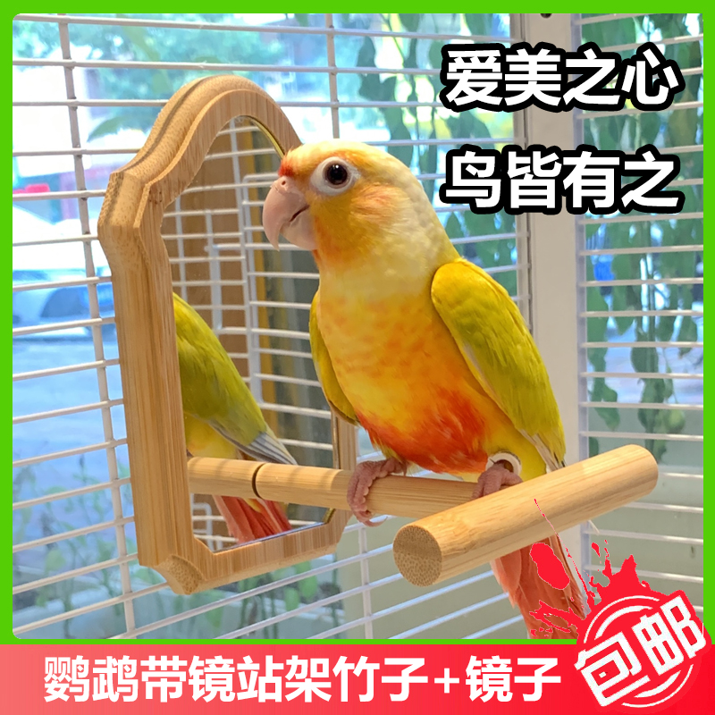 鹦鹉镜子复古鹦鹉站架鸟笼配件