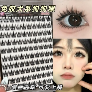 无辜幼态狗狗眼!犬系假睫毛懒人三部曲自然仿真单簇浓密大眼