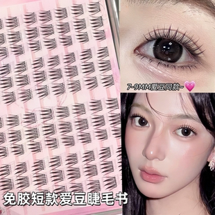 免胶免卸短款爱豆假睫毛书ACE女自然韩系女团淡颜日常根根分明