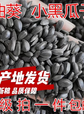 黑珍珠小瓜子油葵籽鹦鹉鸟食仓鼠鸟粮鸽粮产地包邮麻子火麻仁新粮