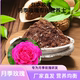 玫瑰月季 土营养土疏松透气家用盆栽种植绣球花铁线莲种花土壤养花