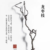 龙枣干枝树枝树干装 饰天然弯曲龙爪插花干枝侘寂艺术风干禅意干花