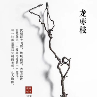龍棗干枝樹(shù)枝樹(shù)干裝 飾天然彎曲龍爪插花干枝侘寂藝術(shù)風(fēng)干禪意干花