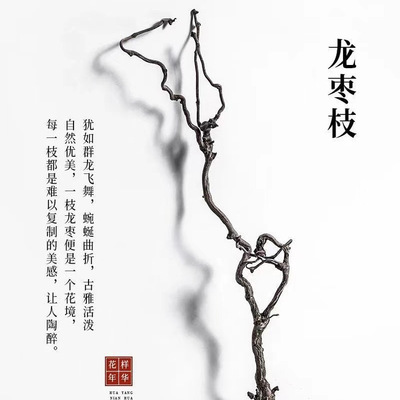龙枣干树枝天然弯曲禅意干枝插花