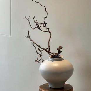 龙枣枝龙枣树龙枣爪鲜切枝水养干养干支树枝造型别致室内客厅插花