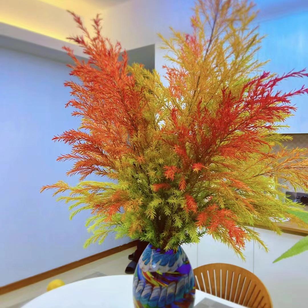 千层金黄金香柳鲜花水培绿植直发