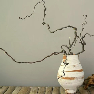 禅意龙枣枝装 饰干枝天然造型龙枣树枝干花弯曲树干多分叉造景插花