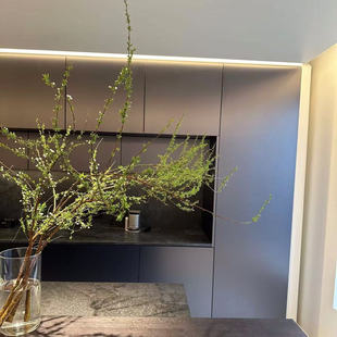 雪柳花喷雪花鲜枝带芽苞叶子水养开花客厅室内龙柳绿植云南直发