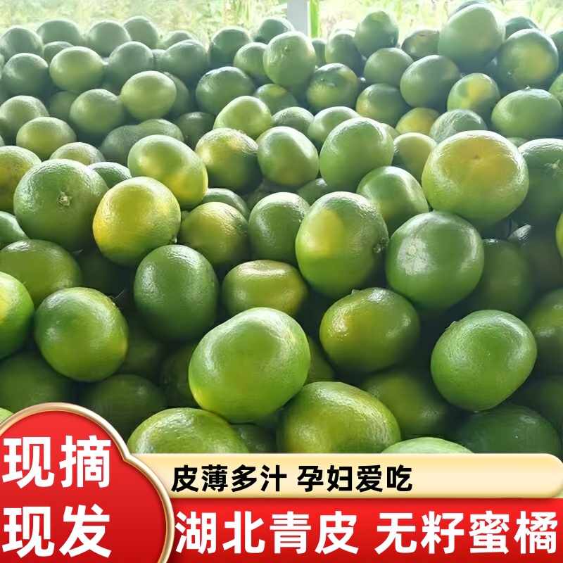 湖北荆州青皮柑橘无籽柑桔当季新鲜孕妈妇水果酸甜桔子现
