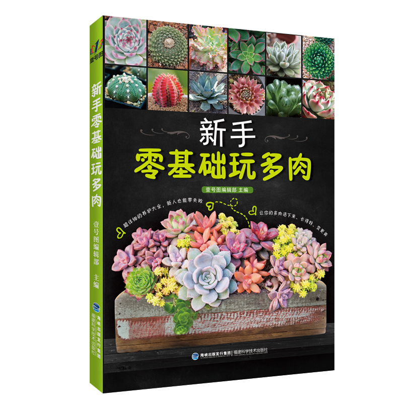 超详细的多肉养花大全