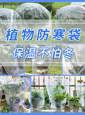 绿植物防冻保温袋塑料膜花卉盆栽过冬保护罩树木防寒布透明防尘袋