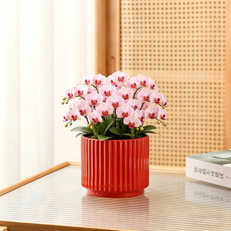 花盆陶瓷大特大号蝴蝶兰绿萝简约客厅发财树红色年宵花盆特价清仓