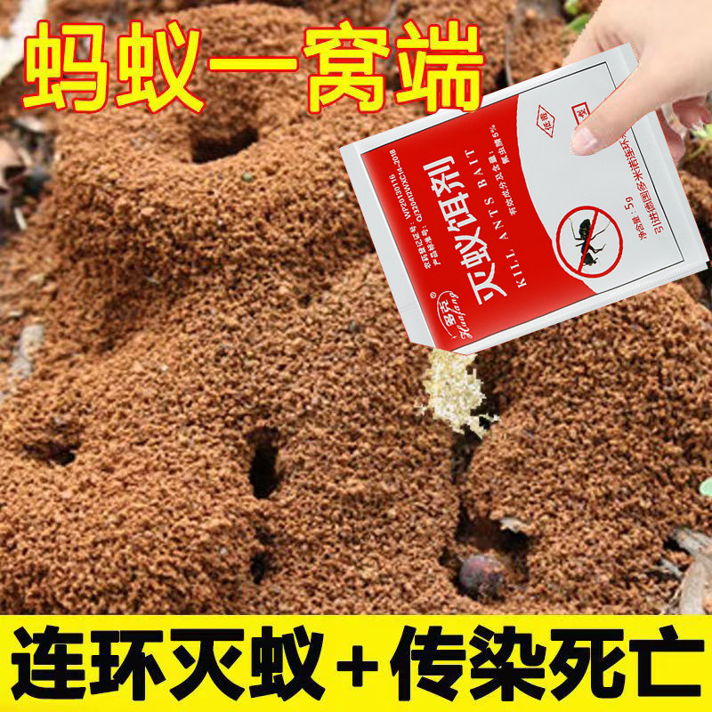 蚂蚁药家用全窝端灭蚁清室内外房间院里厨房除小蚂蚁杀小红黑蚂蚁