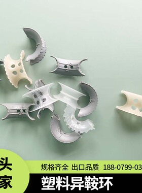 PP CPVC PVDF异鞍环填料 规格25 38 50 76mmPlastic IMTP工厂直销