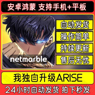 我独自升级Arise崛起手游下载安卓鸿蒙手机平板中文版下载教程