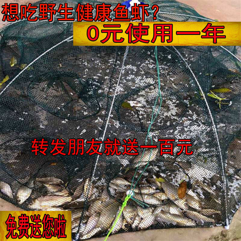 渔网鱼网虾笼伞笼捕鱼笼子折叠自动捉甲鱼鳖工具黄鳝泥鳅搬筝渔具