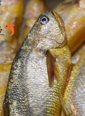 紫菜妈妈黄鱼鲞调味黄花鱼大黄鱼海鲜生鲜冷冻新鲜免杀免洗精品鱼