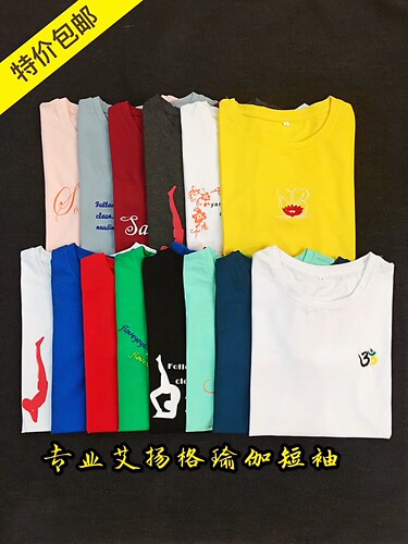 瑜伽服艾扬格短袖T恤吸汗性好